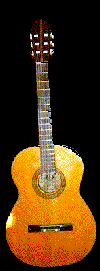 acoustic guitar